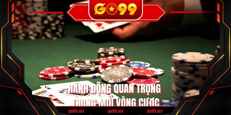 Hành động quan trọng trong mỗi vòng cược Hành động quan trọng trong mỗi vòng cược